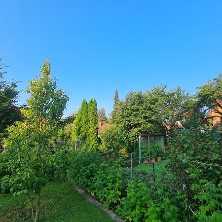 Appartamento Suedharzperle Bad Lauterberg Esterno foto
