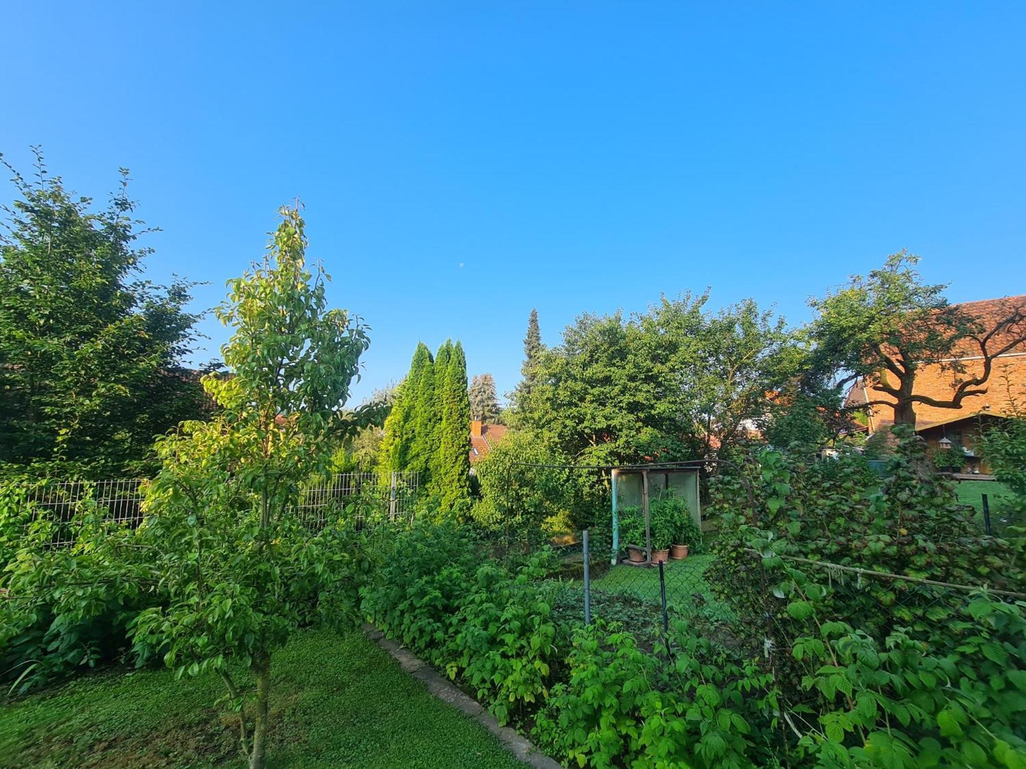 Appartamento Suedharzperle Bad Lauterberg Esterno foto